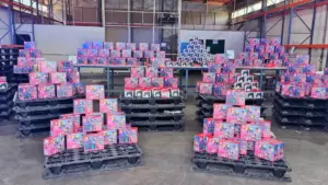 Receita Federal apreende R$ 480 mil em consoles Nintendo Switch e acessórios