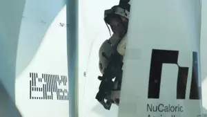 Diretor de Marathon rebate acusações de uso de IA em curta